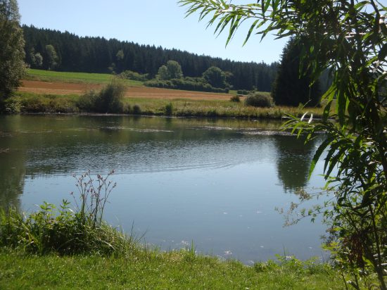 Wolterdingen